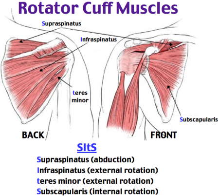 Rotator Cuff Tears | Dr. Gordon Groh