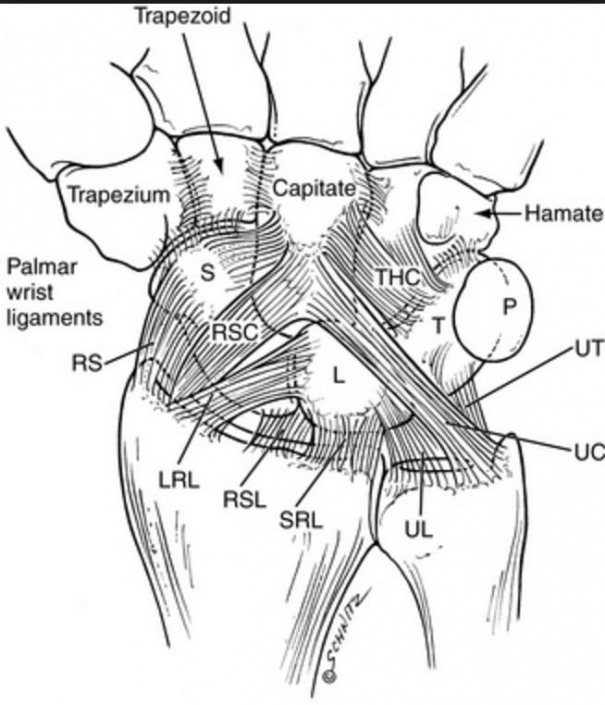 Triangular Fibrocartilage (TFC or TFCC) Injuries - Dr. Groh